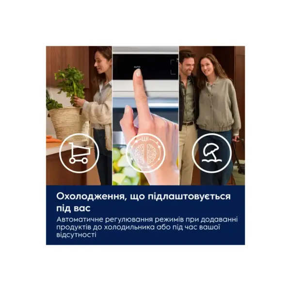 Холодильник Electrolux LNA7CE18S Холодильник Electrolux LNA7CE18S