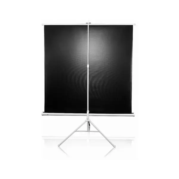 Проекційний екран T85NWS1 Elite Screens