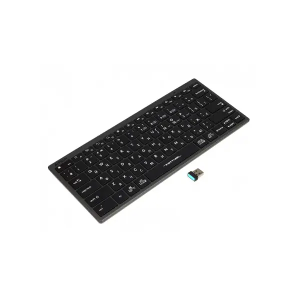 Клавіатура A4Tech FBX51C Wireless/Bluetooth Grey (4711421969765)
