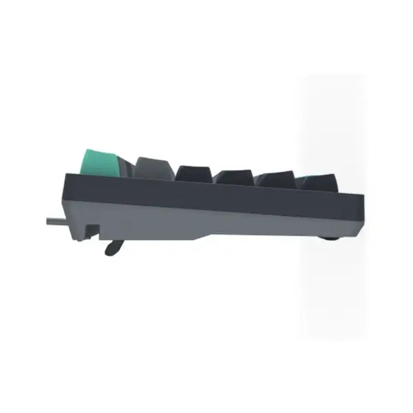 Клавіатура A4Tech FS300 FS Switches USB Panda Rock Climbin (4711421000444)