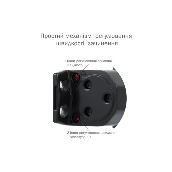 Доводчик двері Ryobi D-2055V BLACK