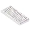 Клавіатура Dark Project ALU81 Terra Nostra PBT RGB Mech G3MS Moonstone White (DPKB_NOSTRA_81_ANSI_WHITE_UA)