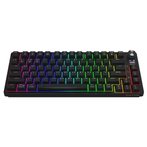Клавіатура Hator Icefall Pro Wireless/Bluetooth/USB Black (HTK450UA)
