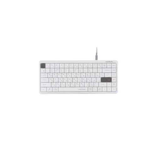 Клавіатура A4Tech FX53 USB UA White (4711421002400)