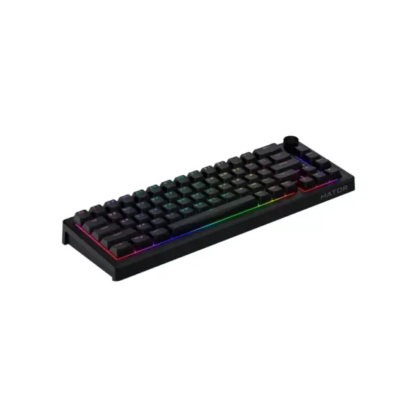 Клавіатура Hator Skyfall 65 USB UA Black (HTK1160UA)