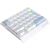 Клавіатура Ajazz AK029 Ice Island Magnetic Switch USB UA White/Blue (AK029-I-WB)