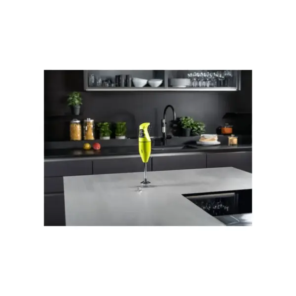 Блендер Bamix Classic EO140 Lime (1025.022)