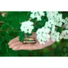 Батарейка Panasonic AAA LR03 Pro Power * 2 (LR03XEG/2BP)