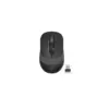 Мишка A4Tech FG10 Grey (4711421942393)