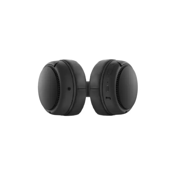 Навушники Panasonic RB-M300BGE-K Black (RB-M300BGE-K)
