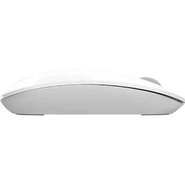 Мишка A4Tech FG20 White (4711421952613)