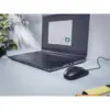 Мишка Trust Basi USB Black (24271)