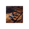 Навушники Sennheiser IE 100 PRO Wireless Black (509171)