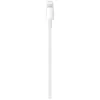 Дата кабель USB-C to Lightning 2.0m Model A2441 Apple (MQGH2ZM/A/MW2R3ZM/A)
