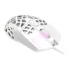 Мишка Canyon Puncher GM-20 USB White (CND-SGM20W)