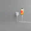 Дата кабель USB 2.0 AM to Lightning 1.0m white Belkin (CAA010BT1MWH)
