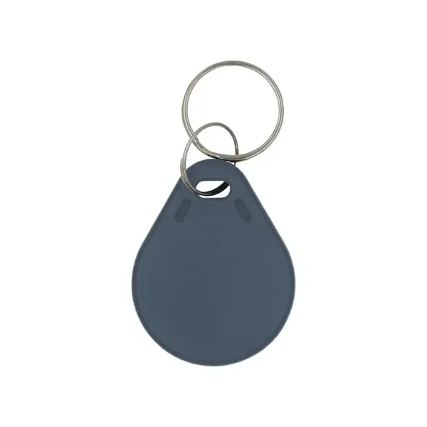 Брелок з чіпом Trinix P-key RW gray