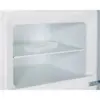Холодильник Gorenje RF4142PW4 Холодильник Gorenje RF4142PW4