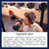 Навушники Philips TAA6219 Over-ear Wireless Mic Black (TAA6219BK/00)