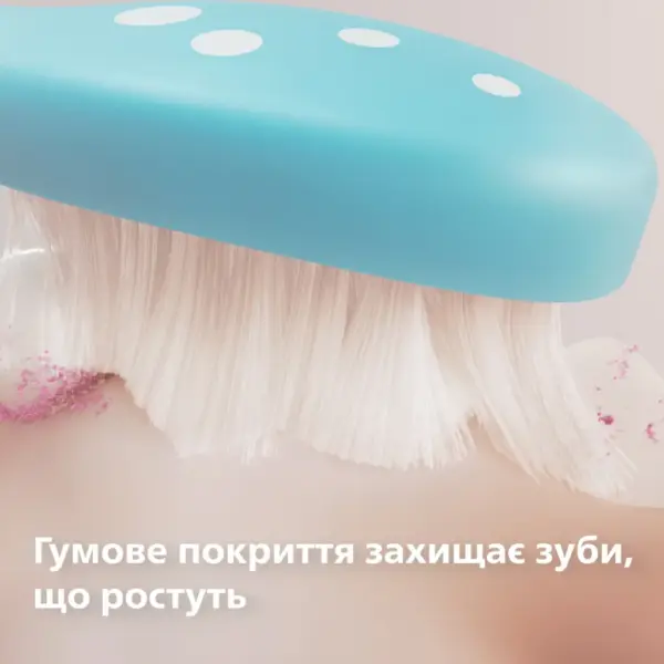 Насадка для зубної щітки Philips HX6042/90