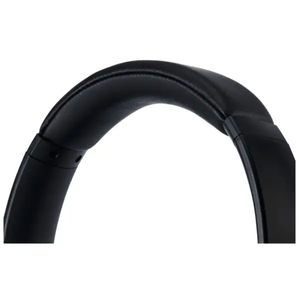 Навушники Panasonic RB-M600B Black (RB-M600BG-K)