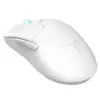 Мишка Thunderobot ML602 SE Dual Mode wireless (ML602SE)