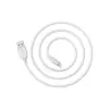 Дата кабель USB 2.0 AM to Lightning 1.0m 2.4A white BOROFONE (6957531089971)