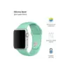 Ремінець до смарт-годинника Armorstandart Sport Band (3 Straps) для Apple Watch 42 (Series 11-10)/41/40/38 Succulent (ARM65081)