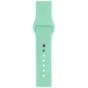 Ремінець до смарт-годинника Armorstandart Sport Band (3 Straps) для Apple Watch 42 (Series 11-10)/41/40/38 Succulent (ARM65081)