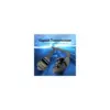 Патч-корд 1m UTP cat 6 RJ-45 flat black Vention (IBABF)