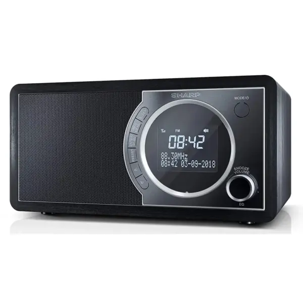 Портативний радіоприймач Sharp DR-450 Black (DR-450BK)