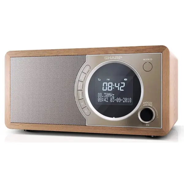 Портативний радіоприймач Sharp DR-450 Beige (DR-450BR)
