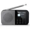 Портативний радіоприймач Sharp DR-P520 Grey (DR-P520GY)