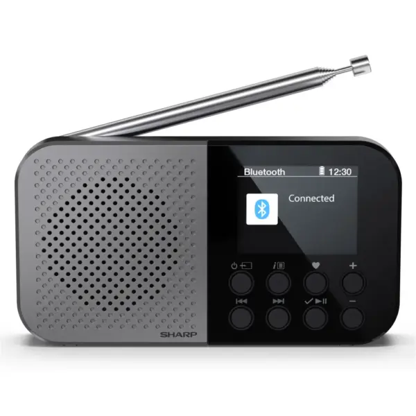 Портативний радіоприймач Sharp DR-P520 Grey (DR-P520GY)