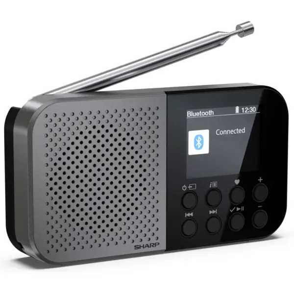 Портативний радіоприймач Sharp DR-P520 Grey (DR-P520GY)