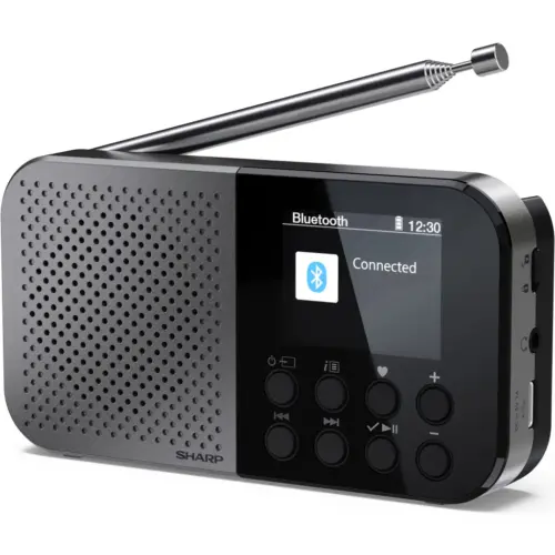 Портативний радіоприймач Sharp DR-P520 Grey (DR-P520GY)