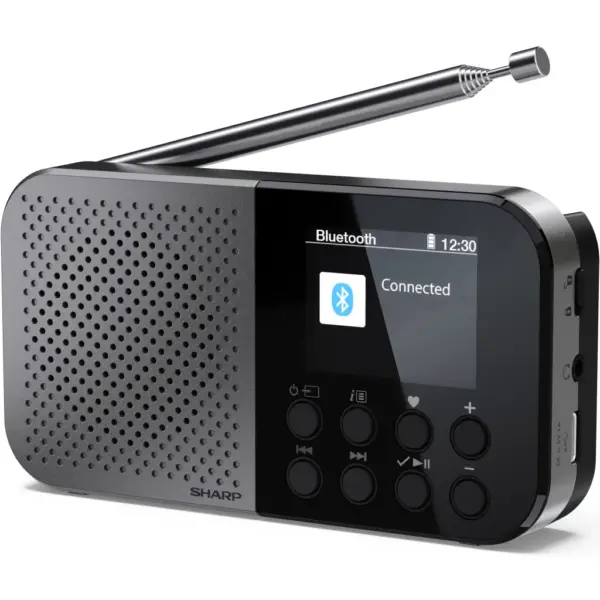 Портативний радіоприймач Sharp DR-P520 Grey (DR-P520GY)