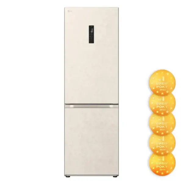 Холодильник LG GC-B459FEPW